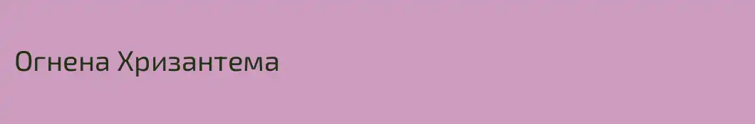 Огнена Хризантема